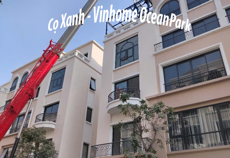 Biệt thự A Đức - Cọ Xanh - OceanPark 2